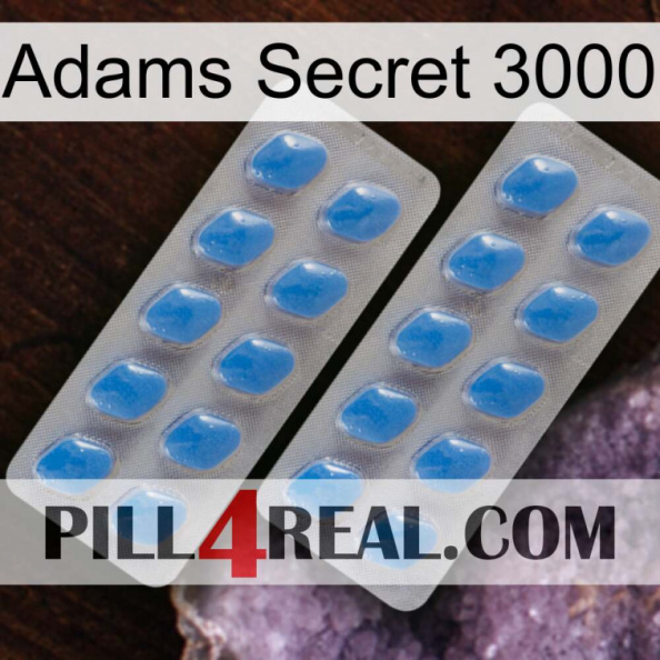 Adams Secret 3000 23.jpg